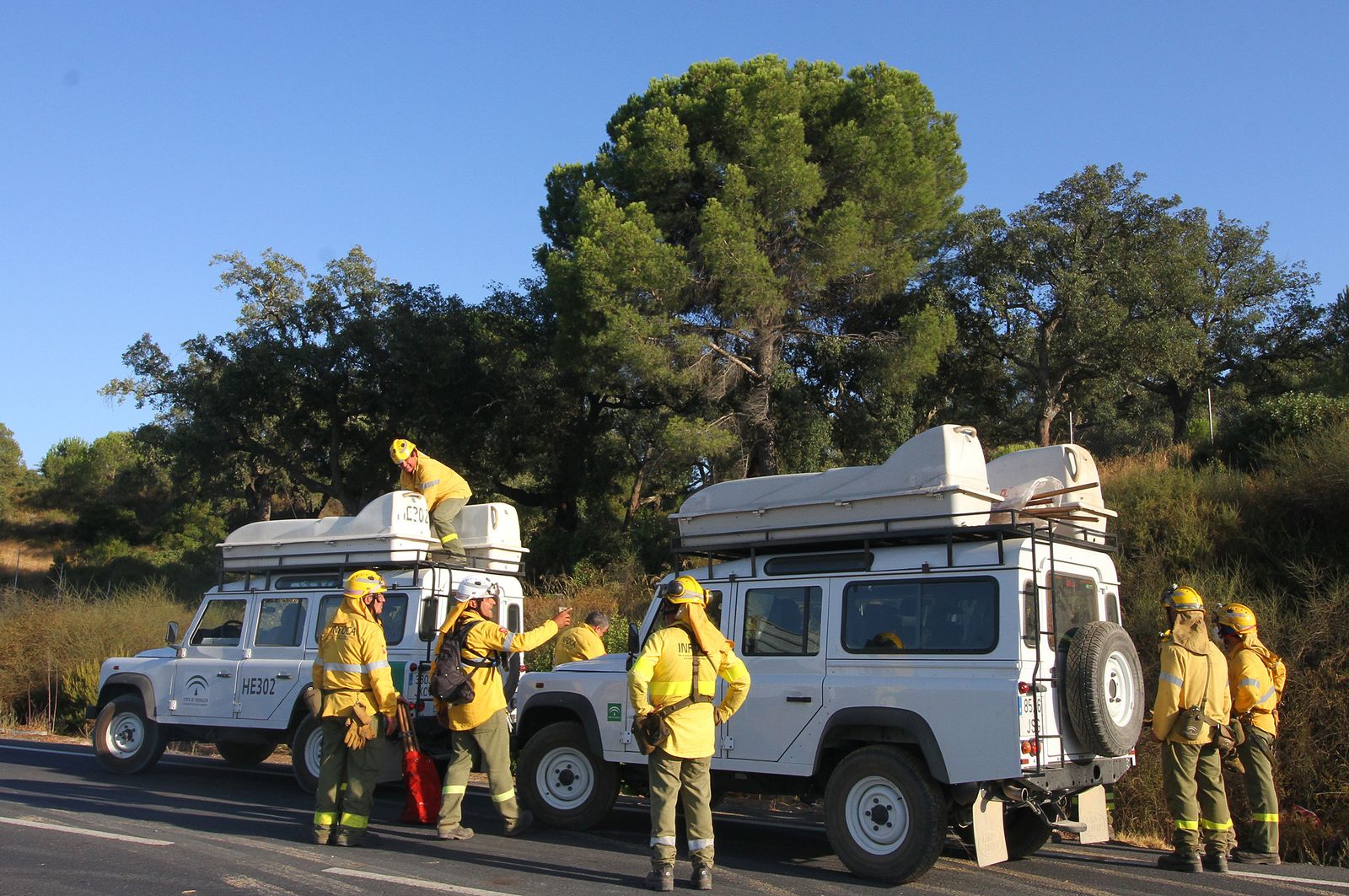 Despliegue de efectivos del Infoca en la localidad de Lucena del Puerto.