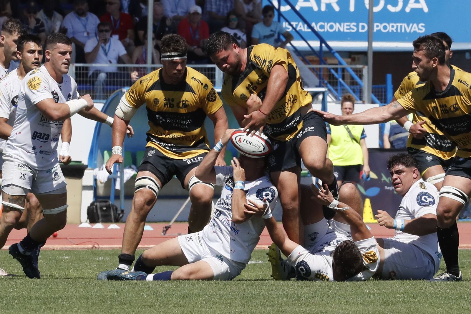 Las fotos del título de Copa de rugby del VRAC en Sevilla