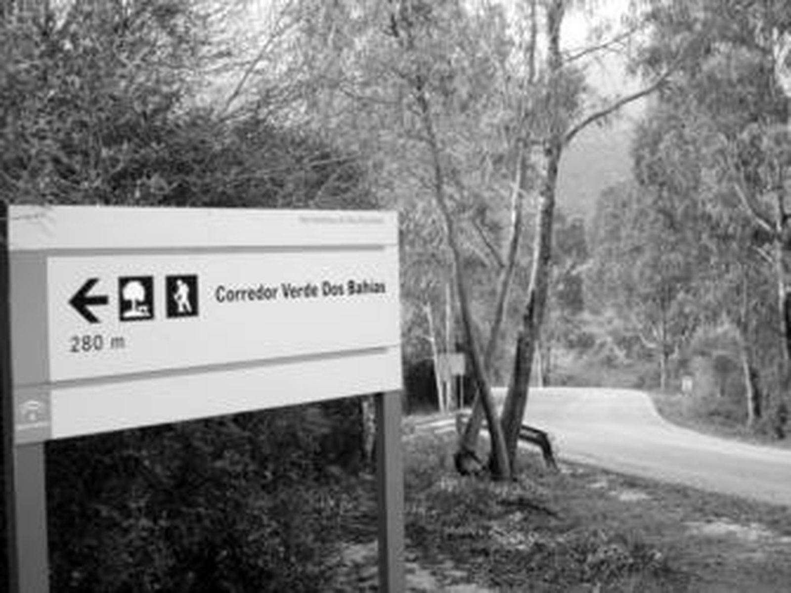Un cartel indica el acceso a un sendero integrado en el Corredor Verde de las Dos Bahías, junto a la carretera C-440.