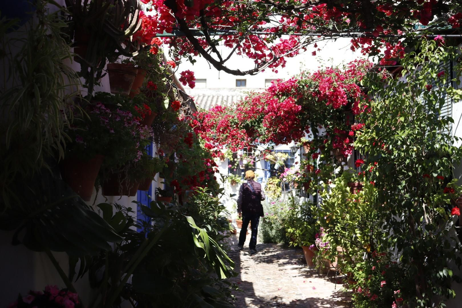 Patio de Marroquíes, 6