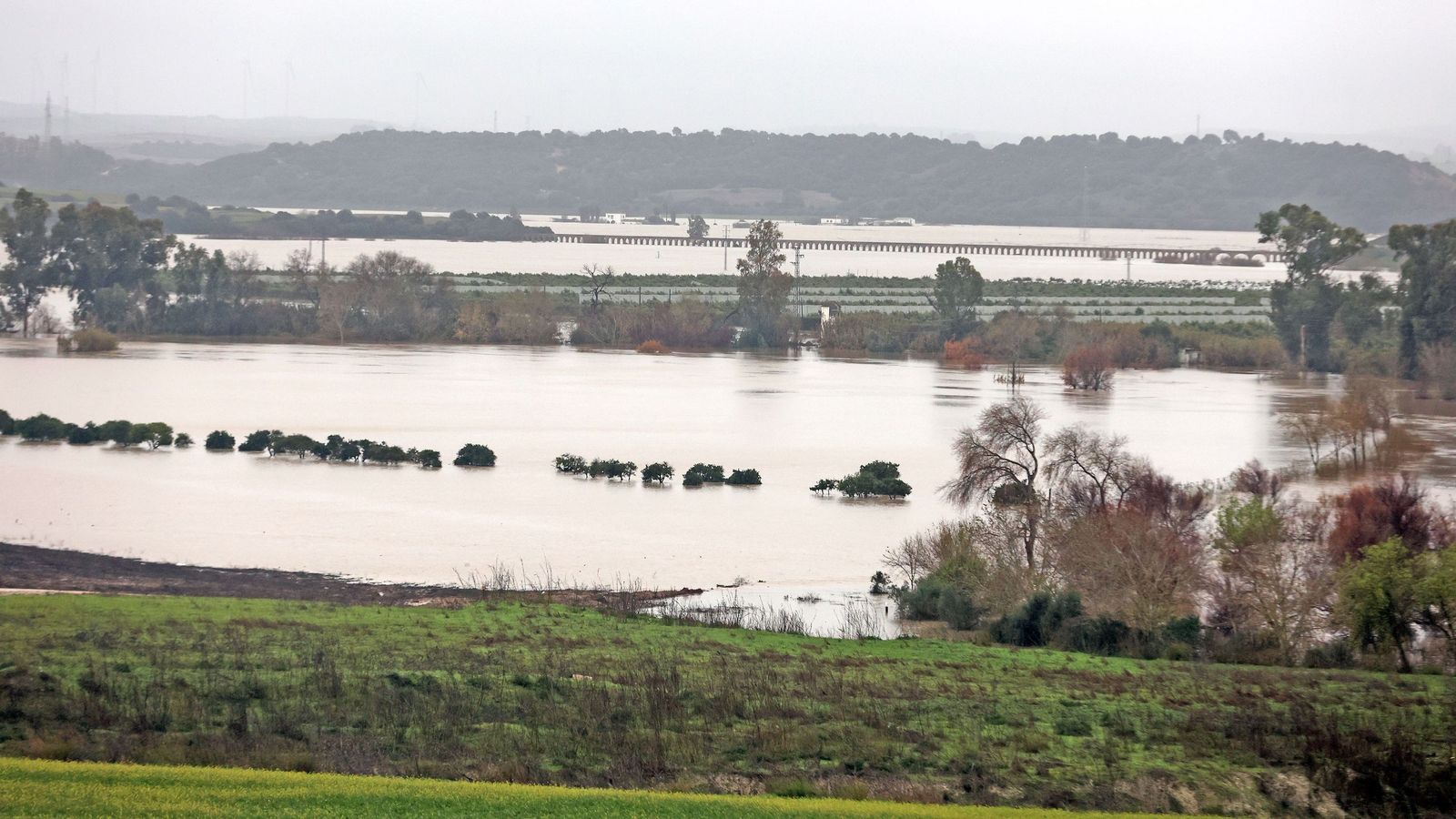Imágenes del paseo rural por Jerez en el estreno de la borrasca Marta