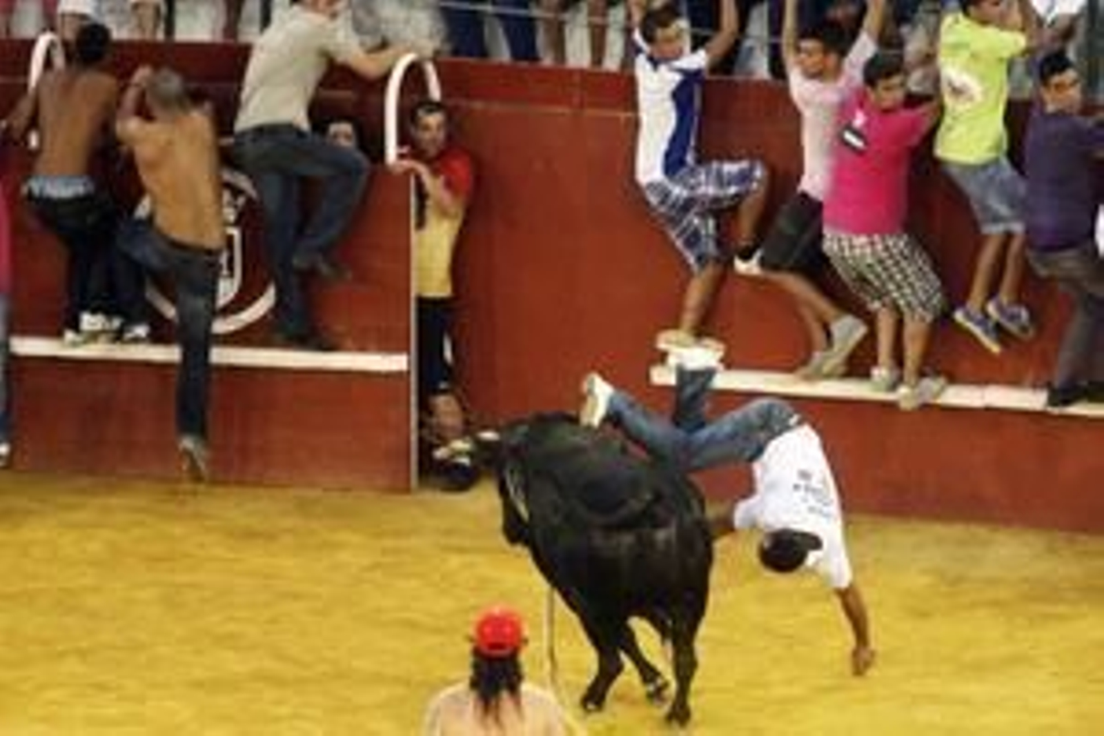 Con la suelta del llamado Toro del Aguardiente se pone el broche de oro a la feria de la localidad. No hubo que lamentar graves incidentes./Fotos:Paco Guerrero

Foto: Paco Guerrero
