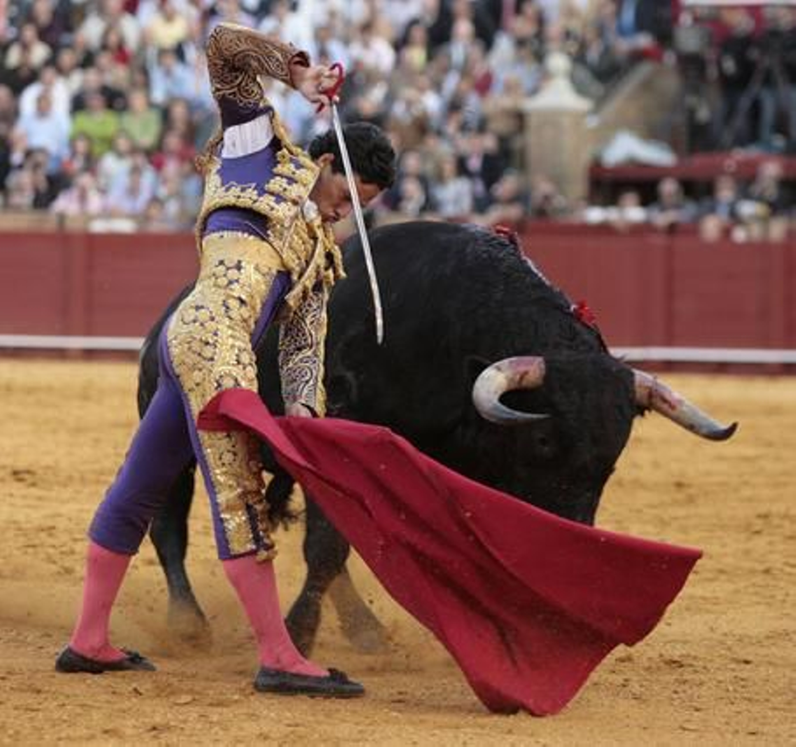 La quinta de abono de la Maestranza se saldó con una oreja por parte de Oliva Soto.

Foto: Juan Carlos Muñoz