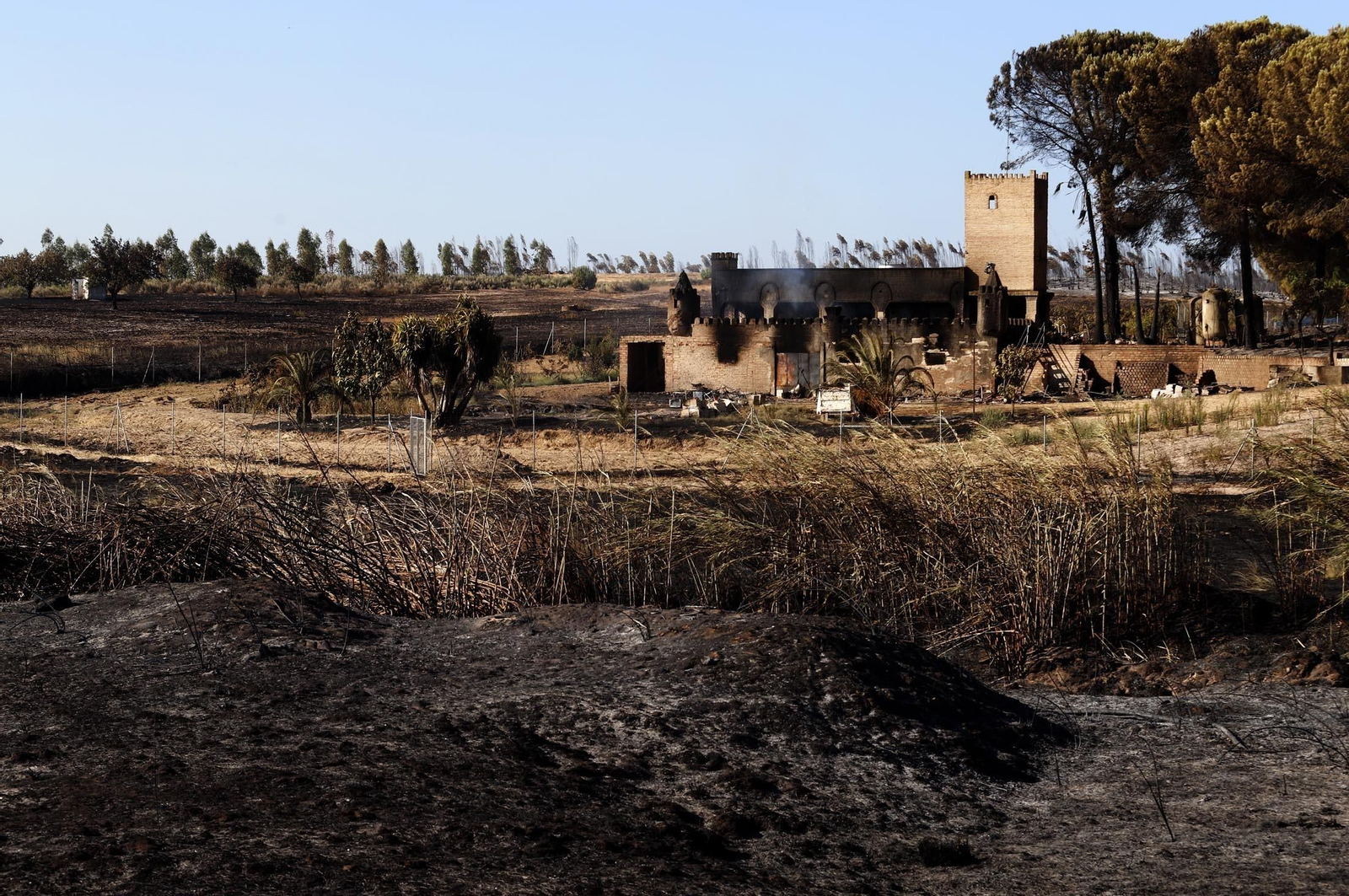 Imágenes de las zonas afectadas por los incendios de Almonte y Bonares