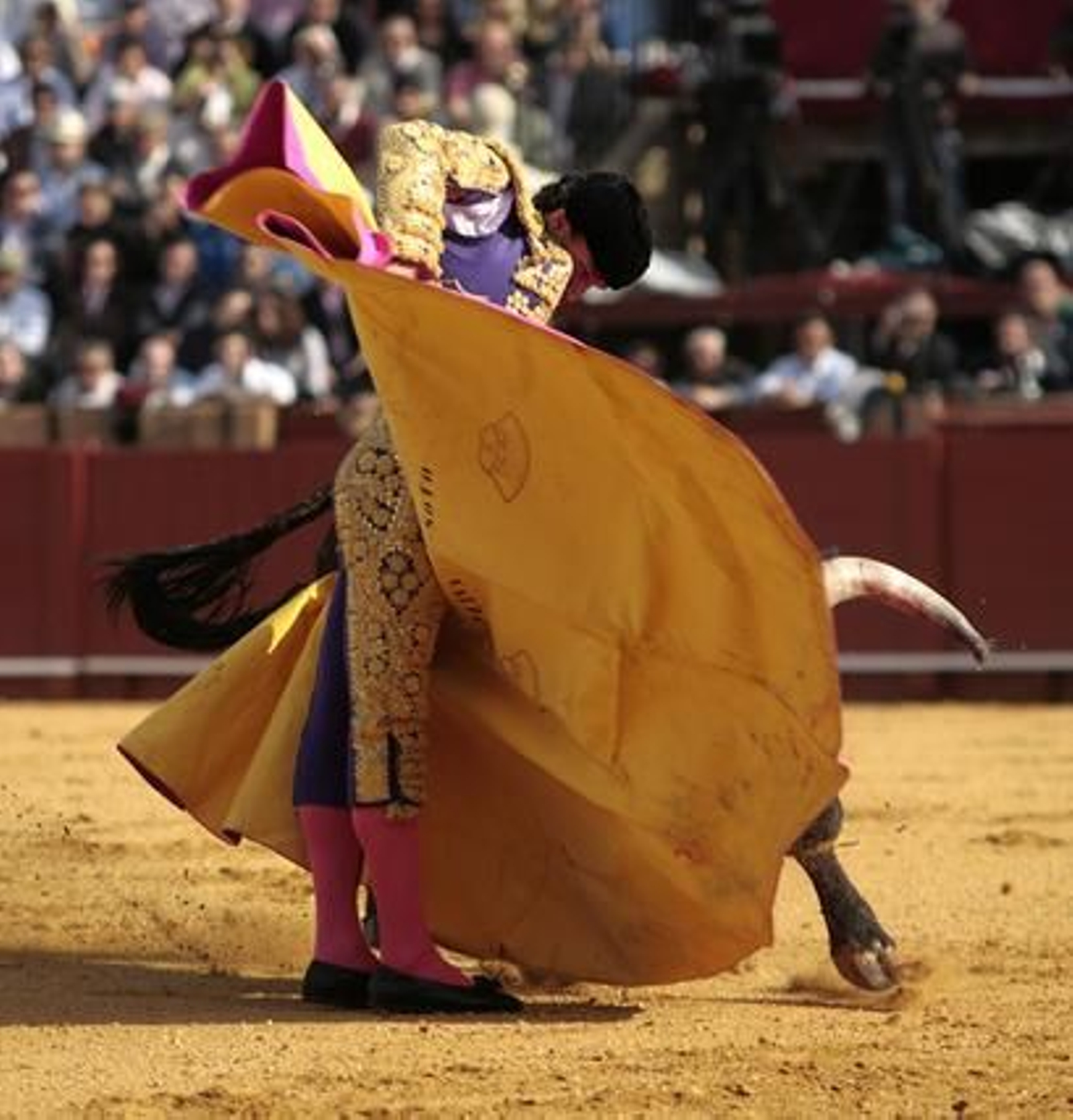 Oliva Soto fue, sin duda, el triunfador de la tarde.

Foto: Juan Carlos Muñoz
