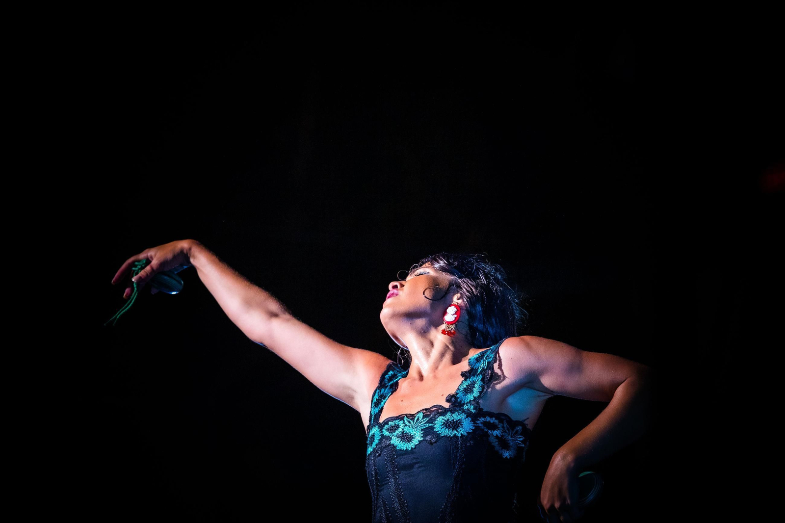 La Isla Ciudad Flamenca: Noche de baile en el Parque de San Fernando