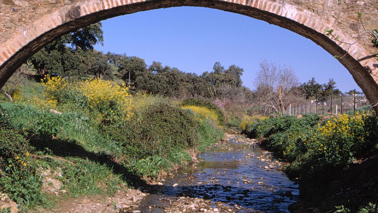 Detalle del acueducto.