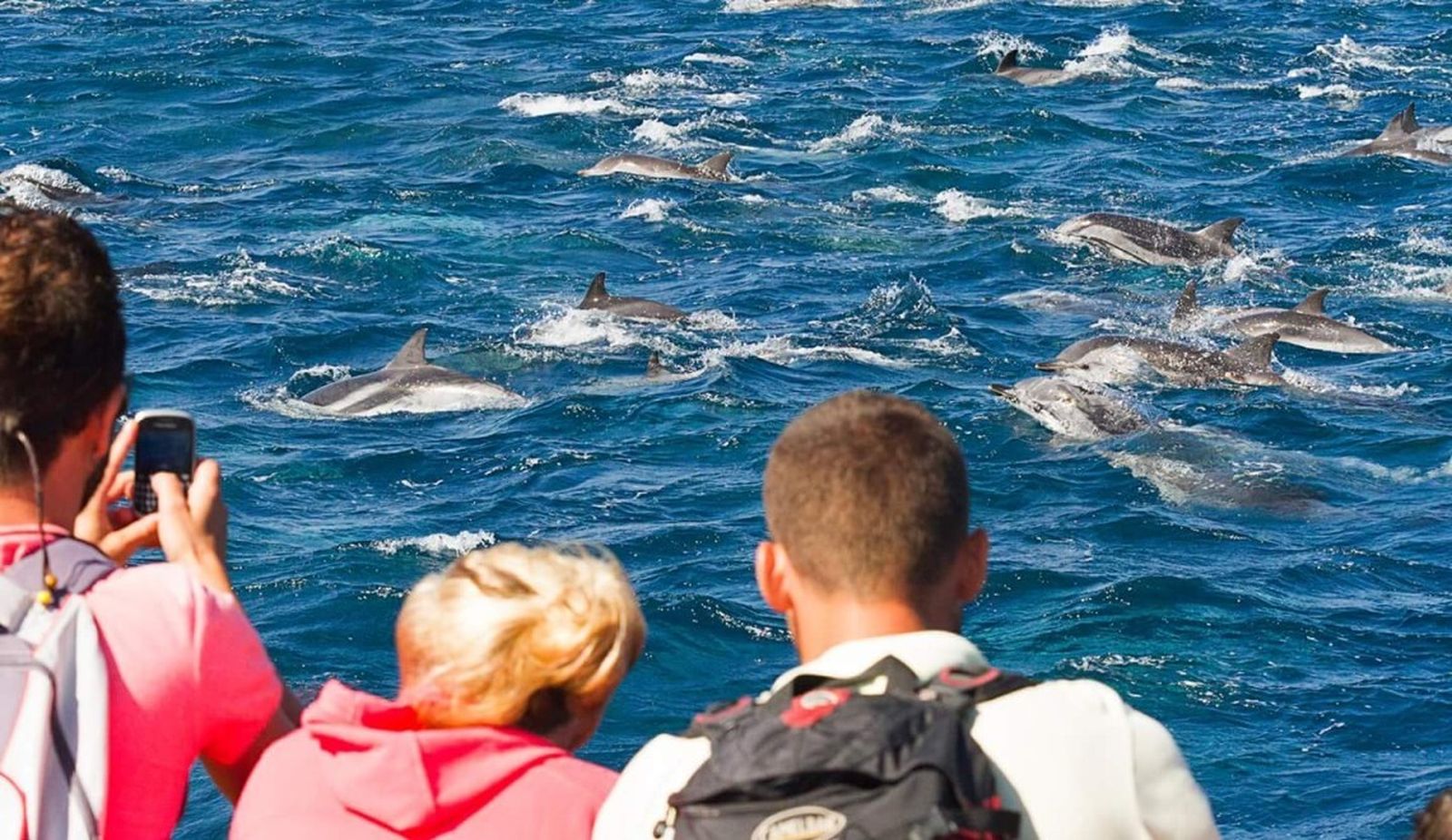 Avistamiento de cetáceos en el Estrecho.