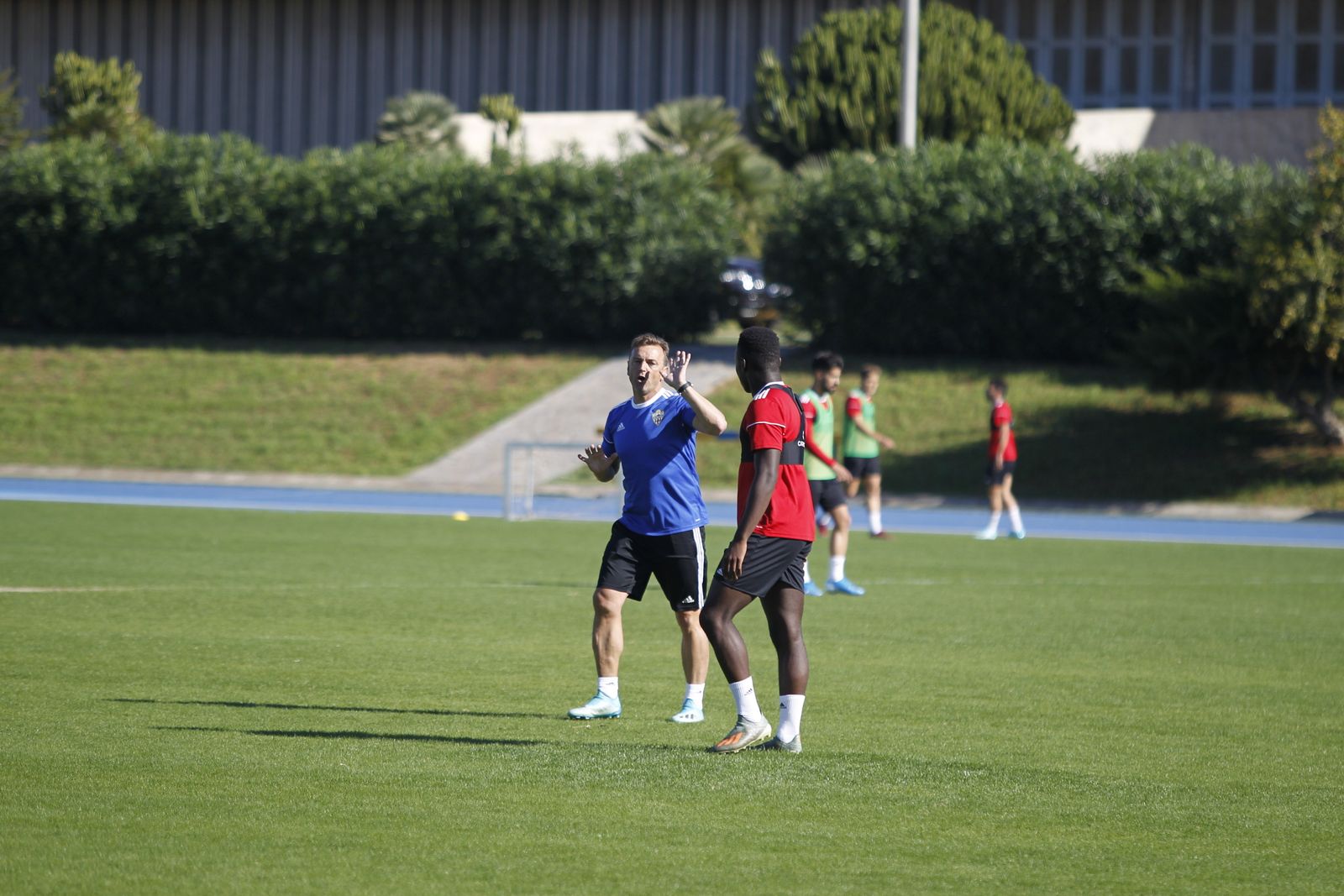 Fotogalería del entrenamiento del Almería 7-XI
