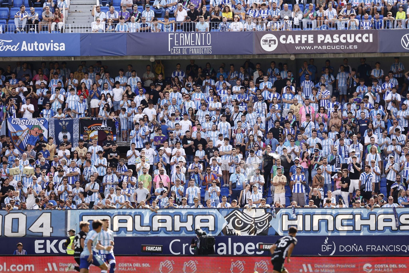 Búscate en las gradas de La Rosaleda durante el Málaga-Andorra
