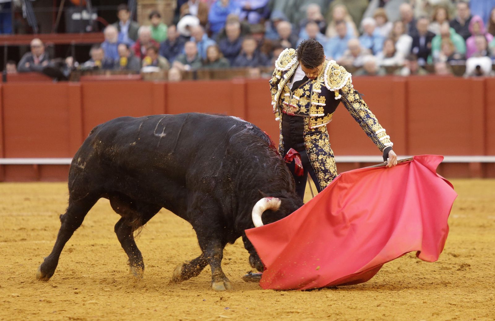 Jose Mária Manzanares.