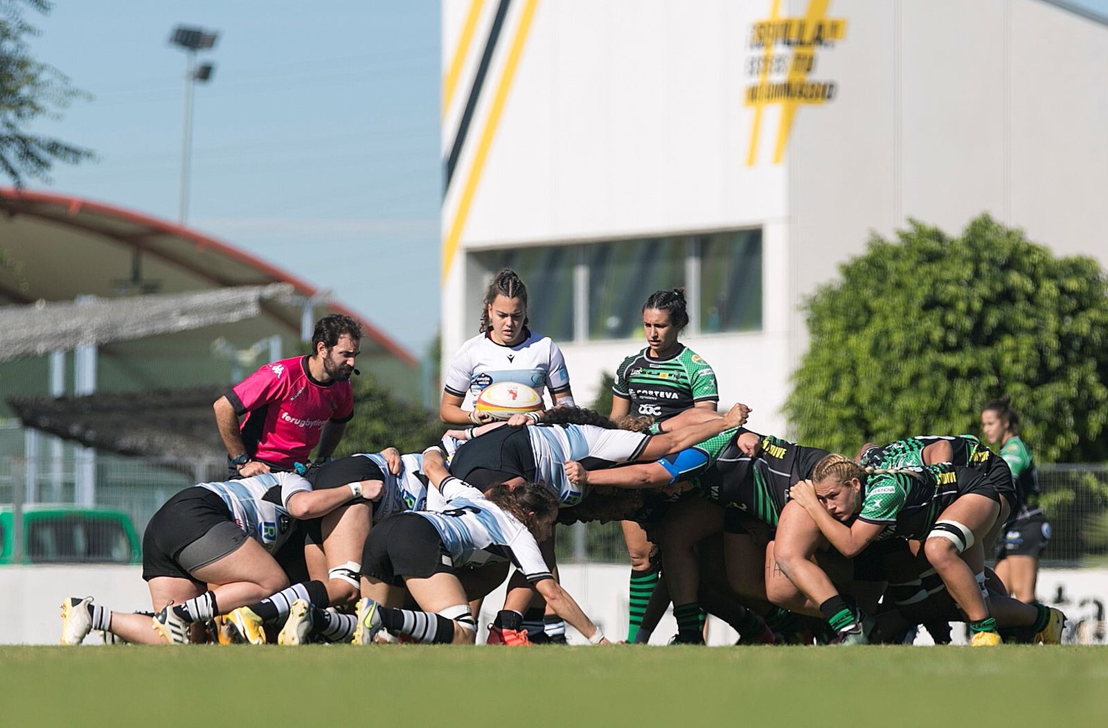 Melé para las gallegas.