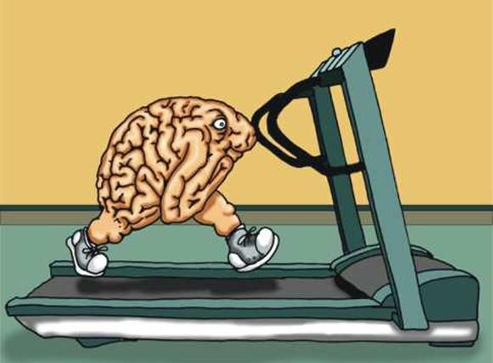 Un entrenamiento cerebral personalizado ayuda a combatir deterioro cognitivo Un entrenamiento cerebral personalizado ayuda a combatir deterioro cognitivo