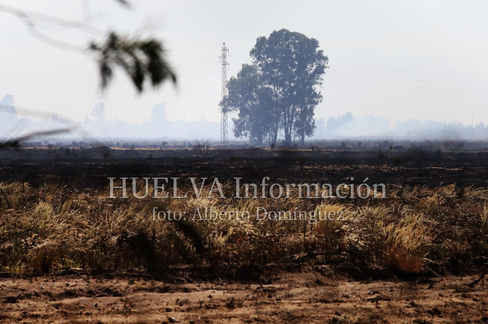 Imágenes del incendio en Doñana