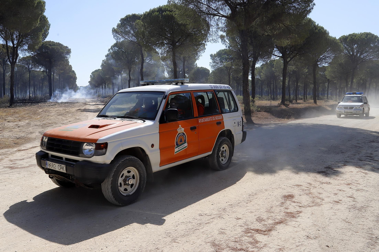 Imágenes de las zonas afectadas por los incendios de Almonte y Bonares