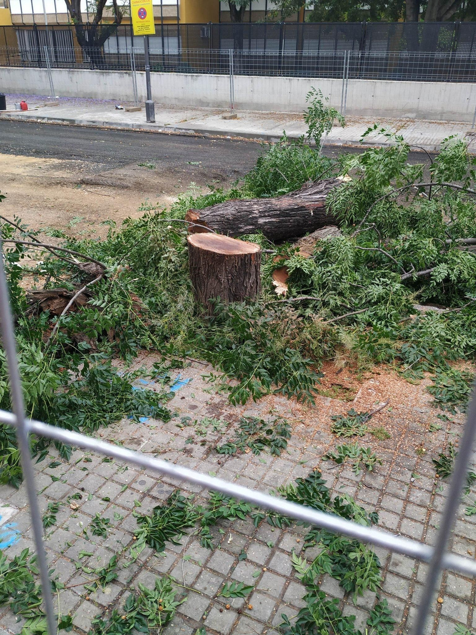 Una de las melias cortadas sobre la calle San José de Calasanz.