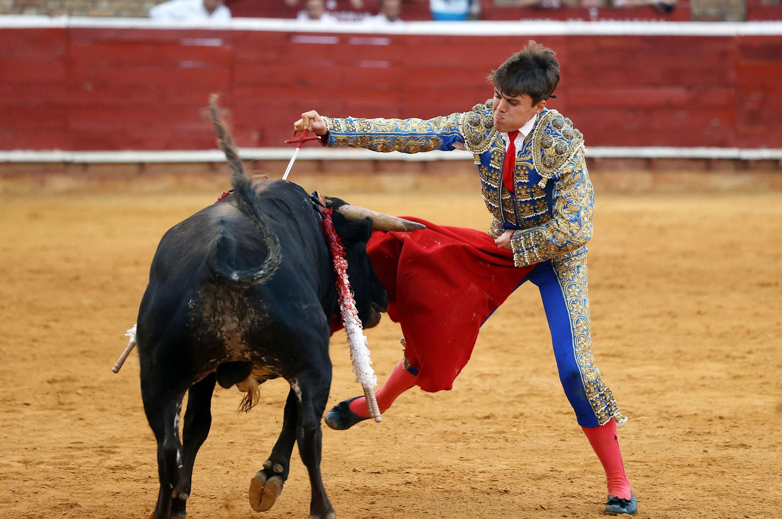 Toros La Merced 2024: Imágenes de la clase práctica del primer Festejo celebrado en la Plaza de Toros La Merced