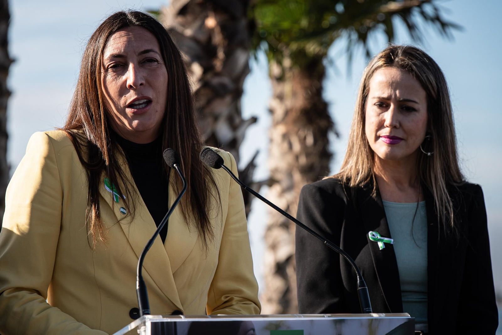 Imágenes del acto del día de la bandera de Andalucía