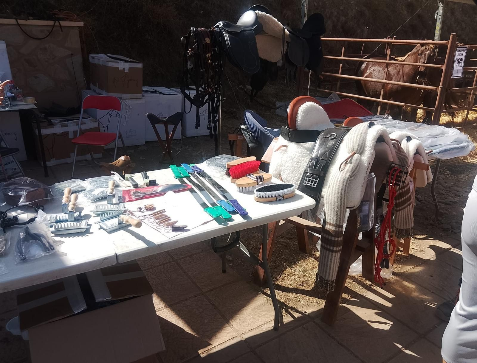 Así se ha vivido la II Feria Equina de Abla