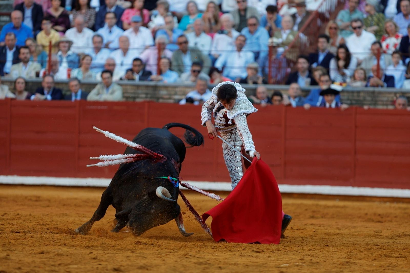 Las mejores fotos de la corrida de Morante, Ortega y Roca Rey en la Feria Taurina de Córdoba
