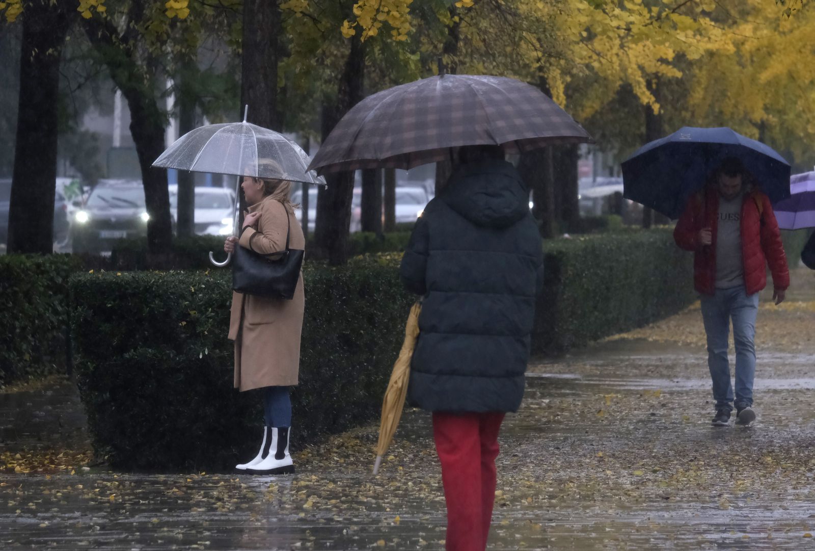 Las imágenes de la tromba de agua que ha caído en Córdoba este viernes