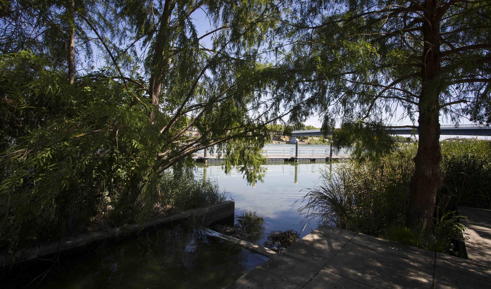 El Jardín Americano