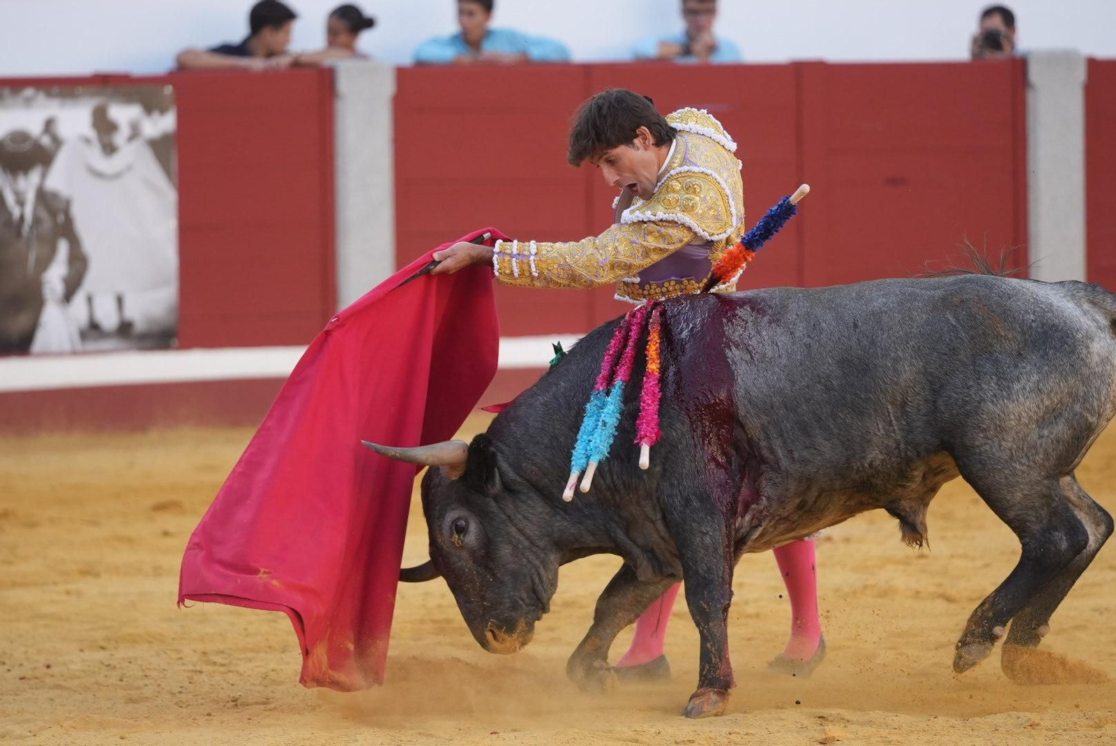 La corrida de toros de Ferrera, Escribano y Lamelas en Pozoblanco, en imágenes