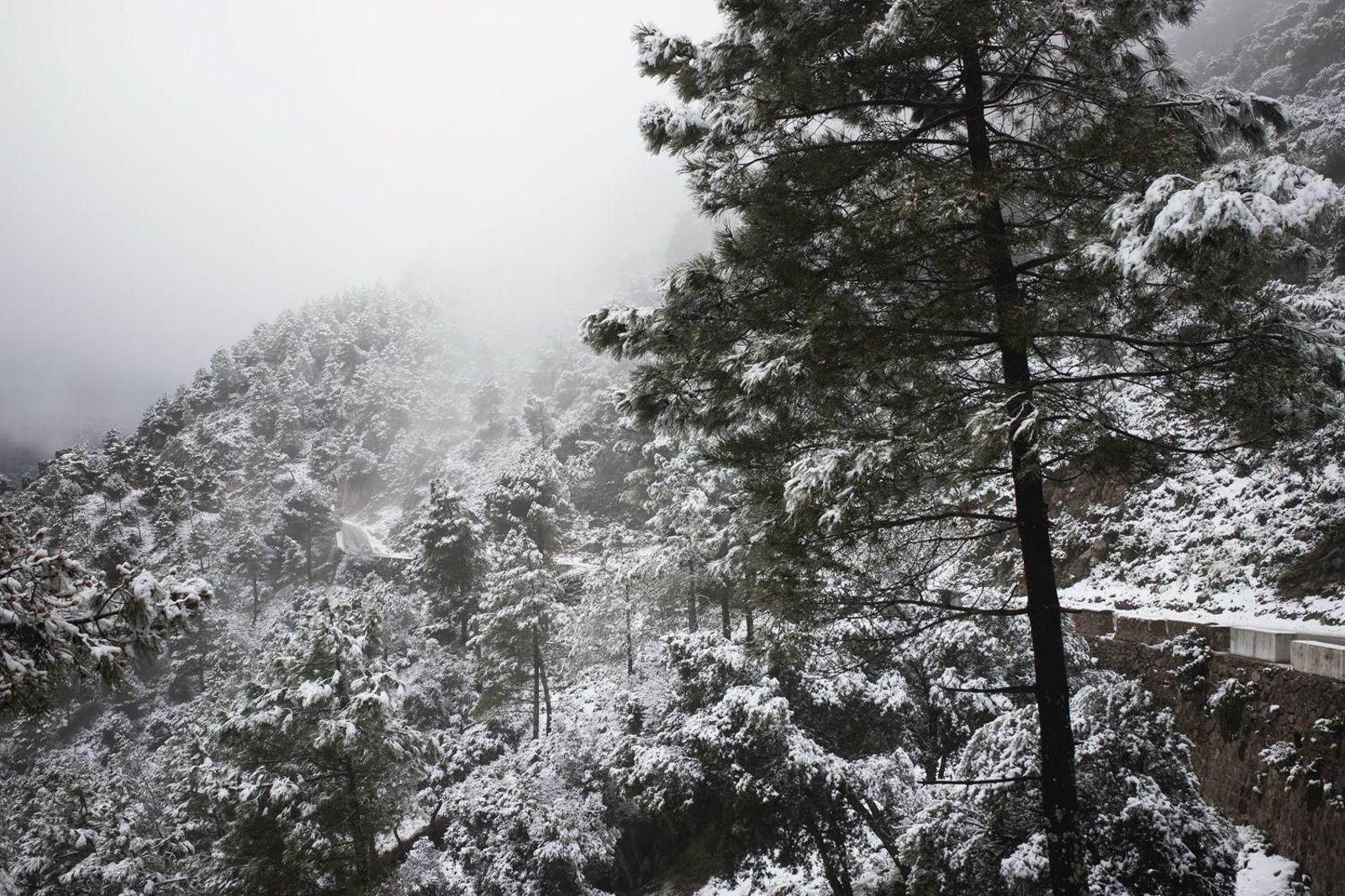 Imágenes de nieves en la Sierra de Cádiz este Martes Santo