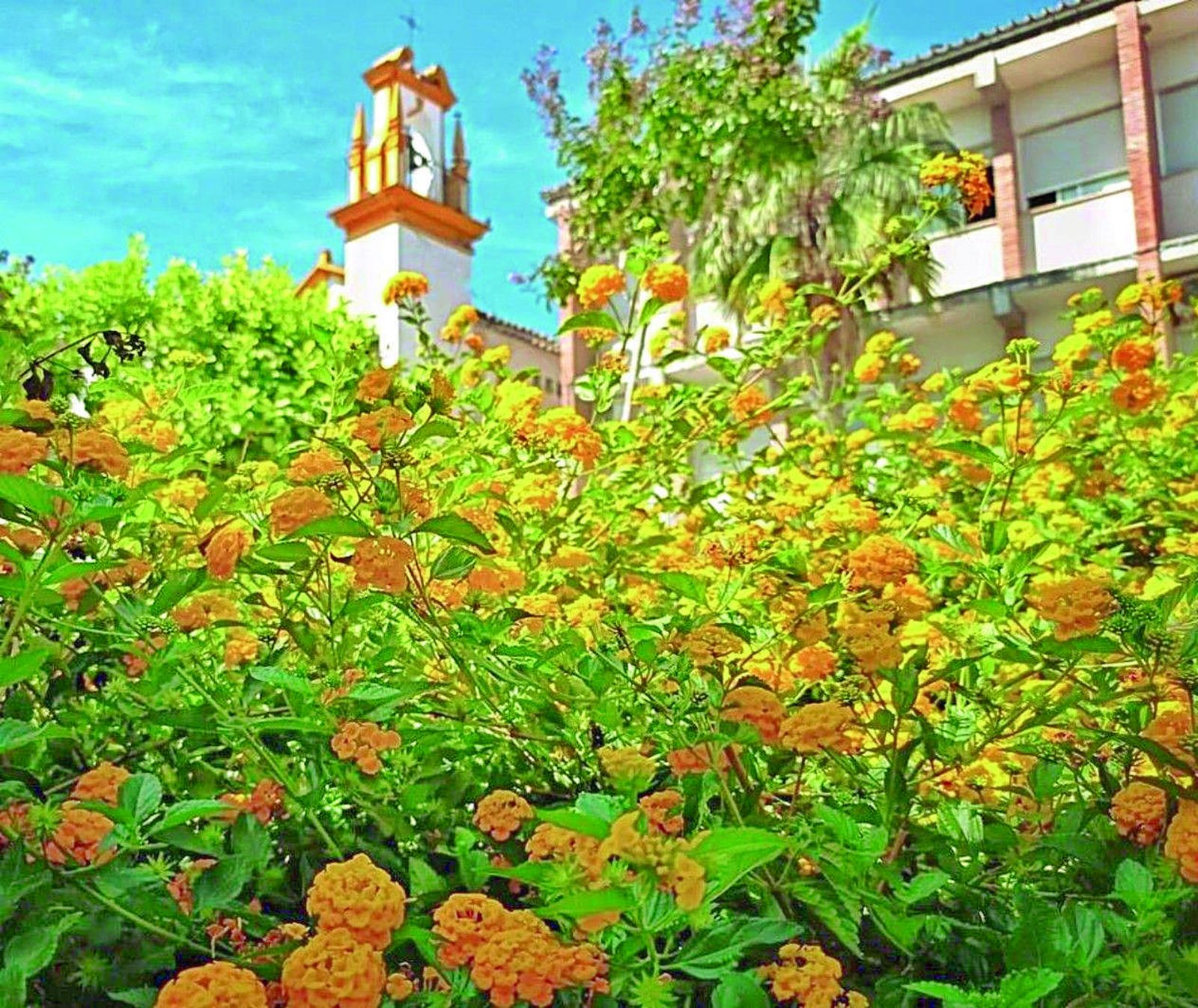 Cañete de las Torres, villa botánica
