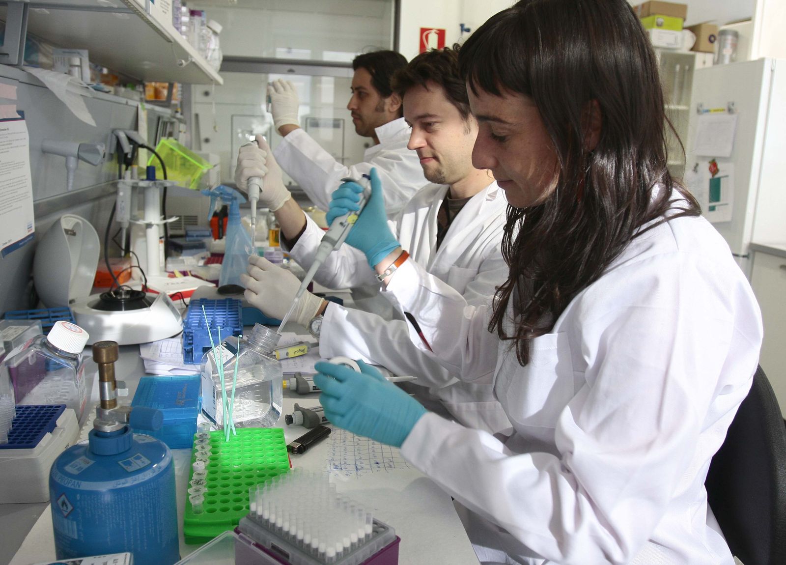 Profesionales sanitarios analizan las muestras.