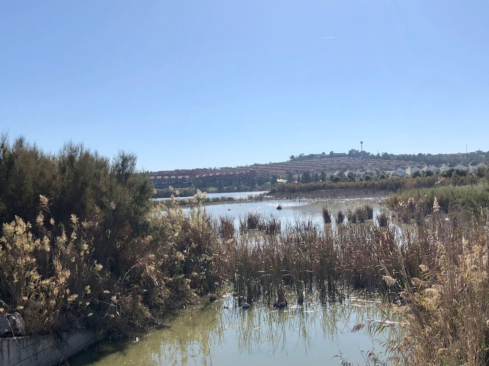 La Laguna de Torrox de Jerez: un paseo ideal para los amantes del aire libre