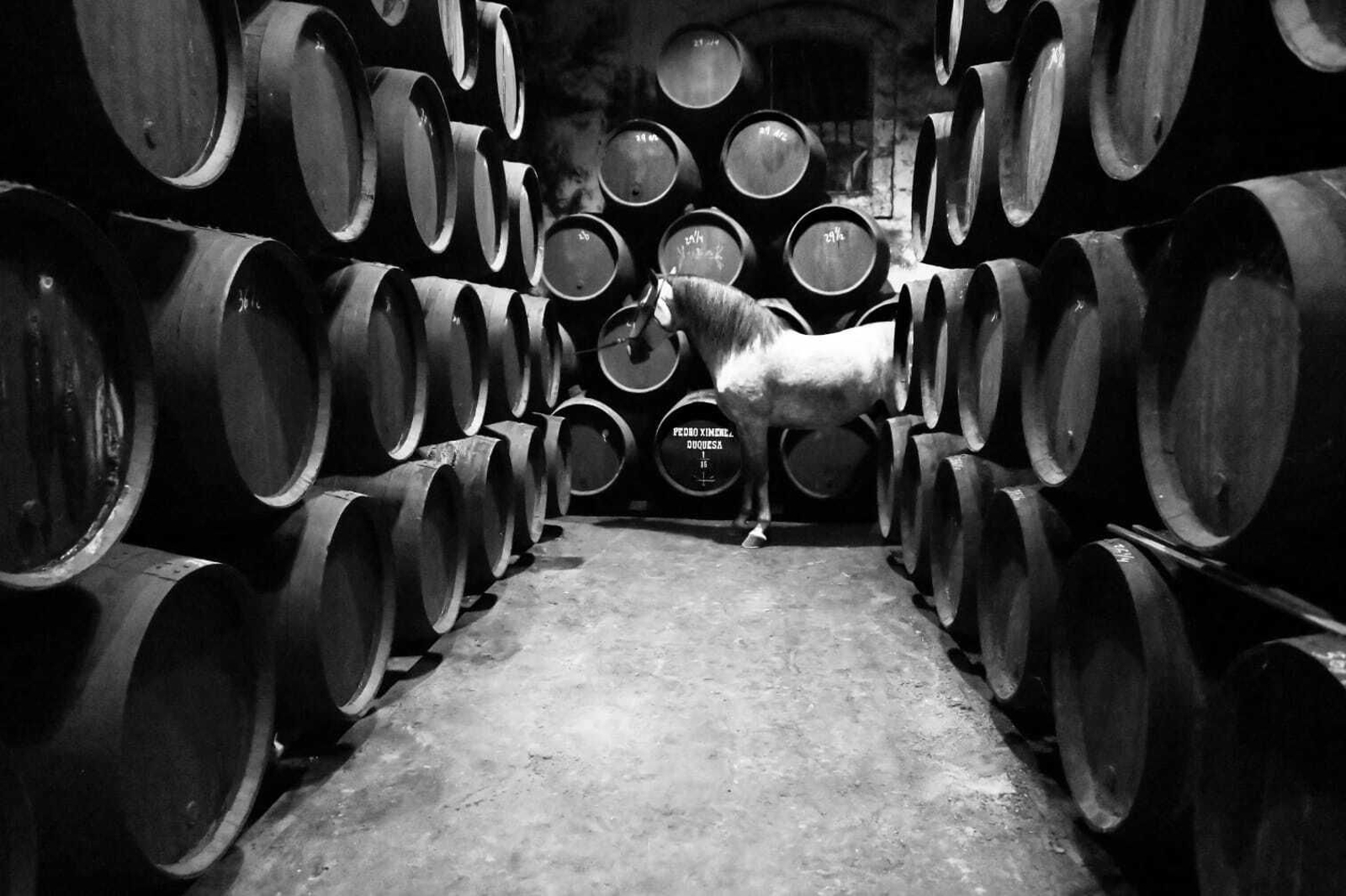 Galería fotográfica del rodaje de 'Siete Jereles'