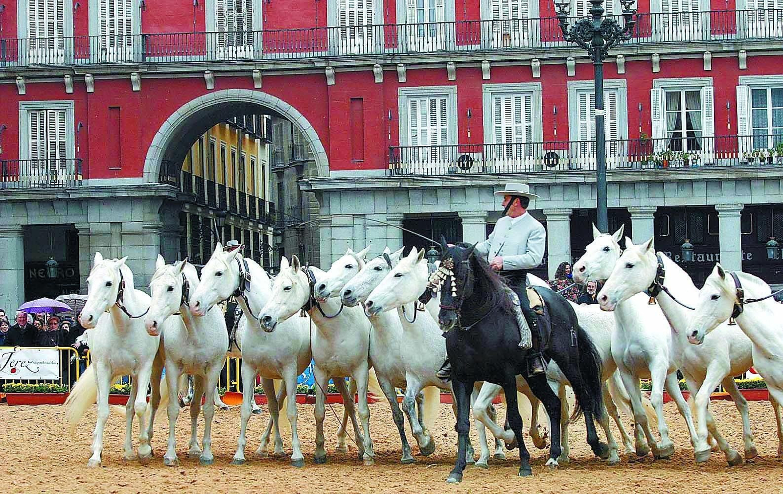 Espectáculo ecuestre celebrado en la Plaza Mayor de Madrid con motivo de Fitur 2004.