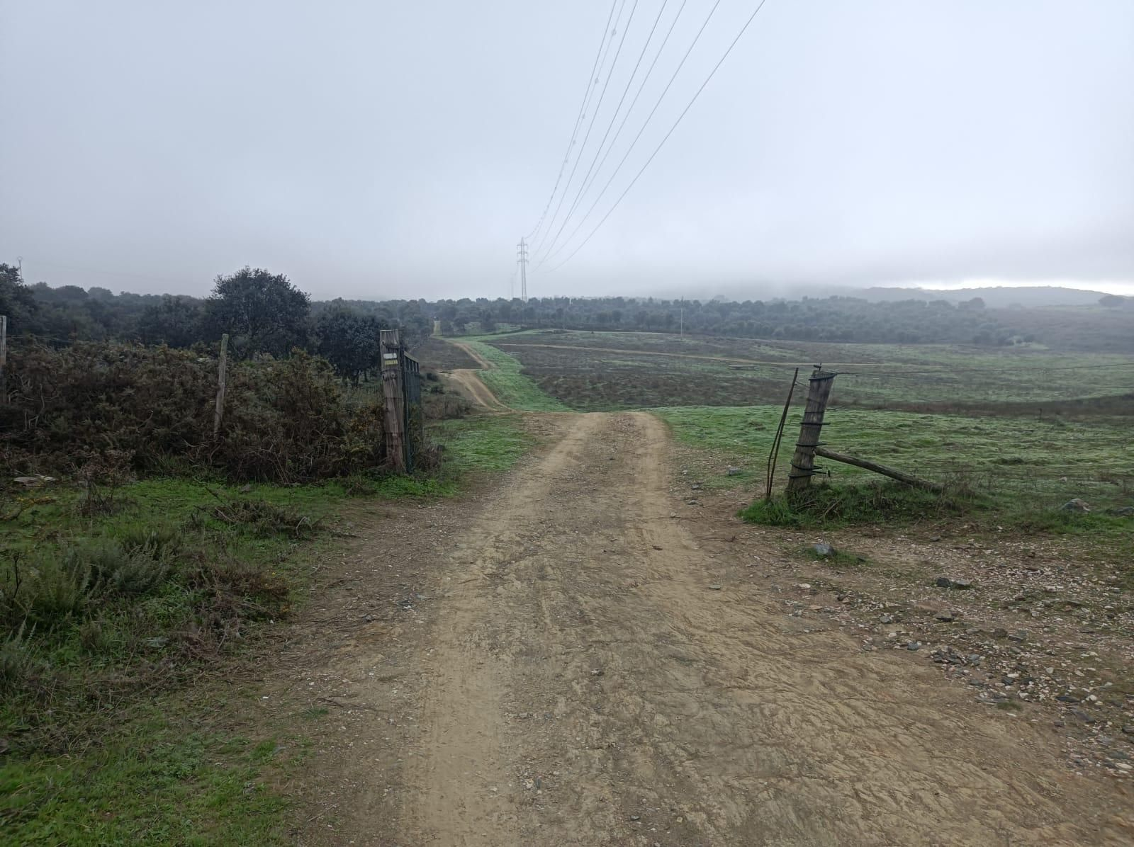 Otra cancela: el camino se empieza a ondular.