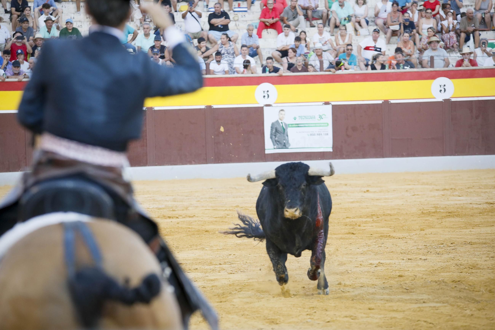 Corrida de toros Berja con un toro indultado, en imágenes