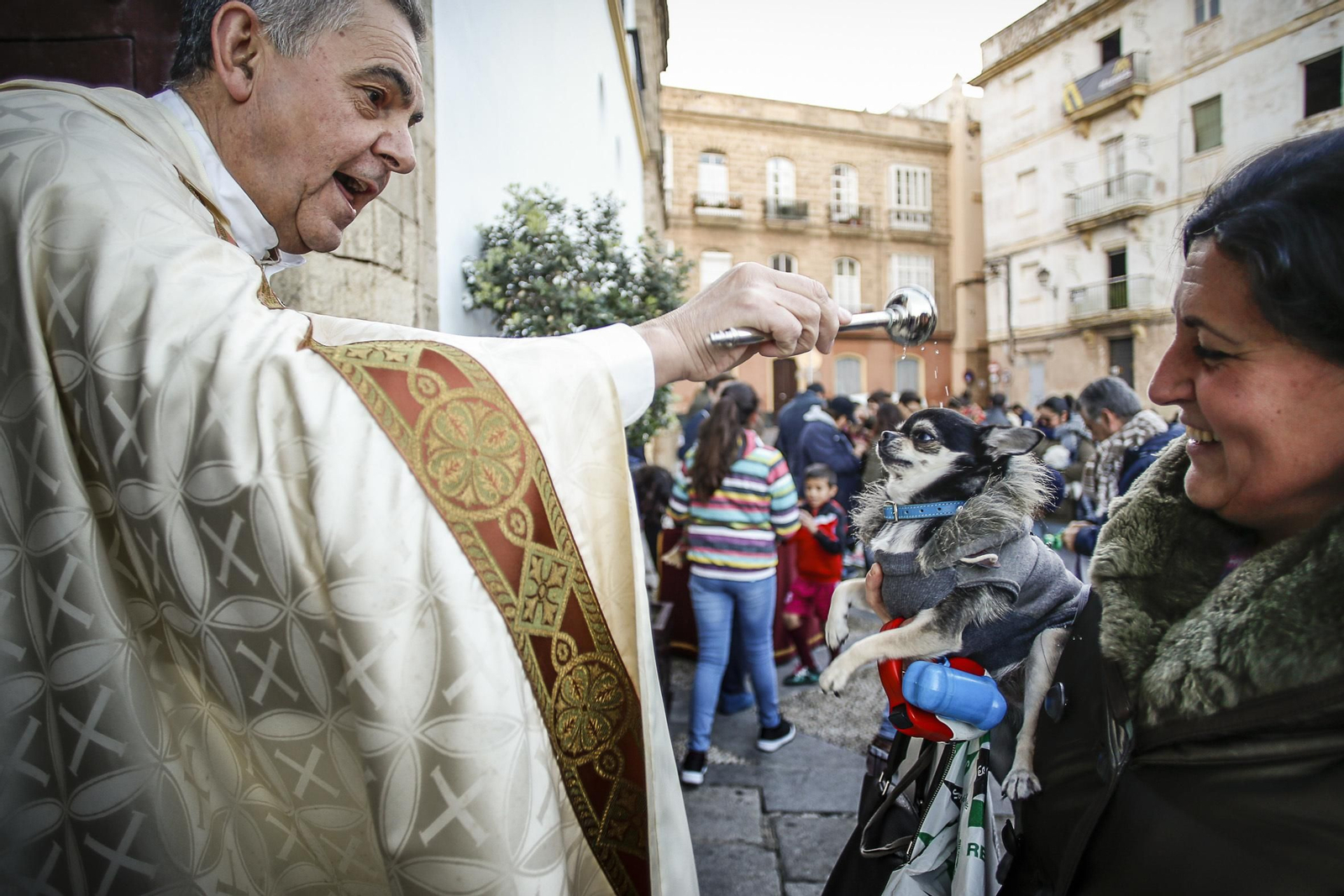 Bendición de animales en Santo Domingo