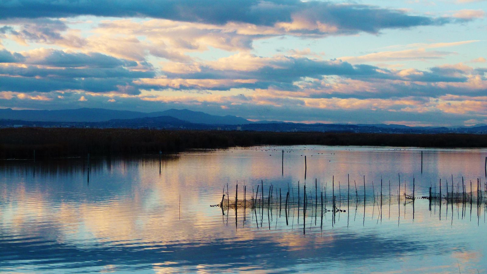 La Albufera
