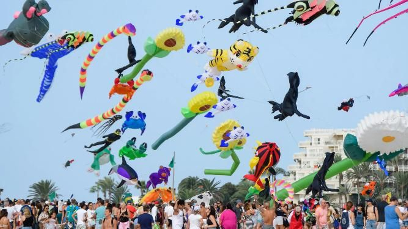 El festival de cometas en una edición en Corralejo, Fuerteventura.