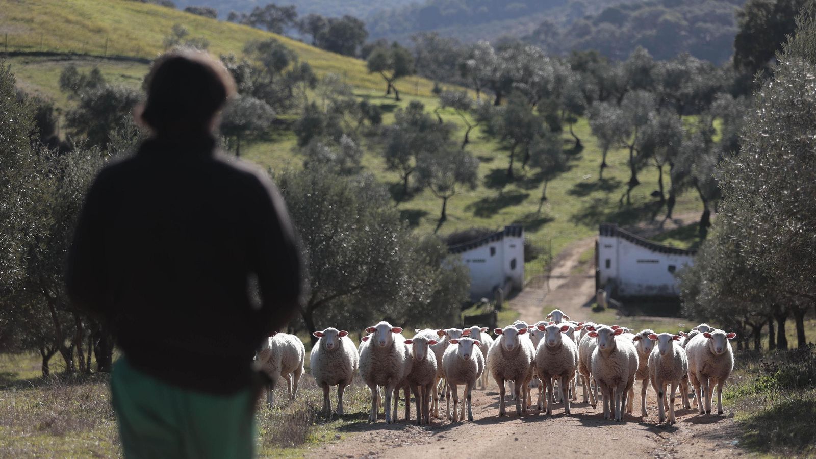El turista recurre a estos destinos en busca de experiencias con el entorno.