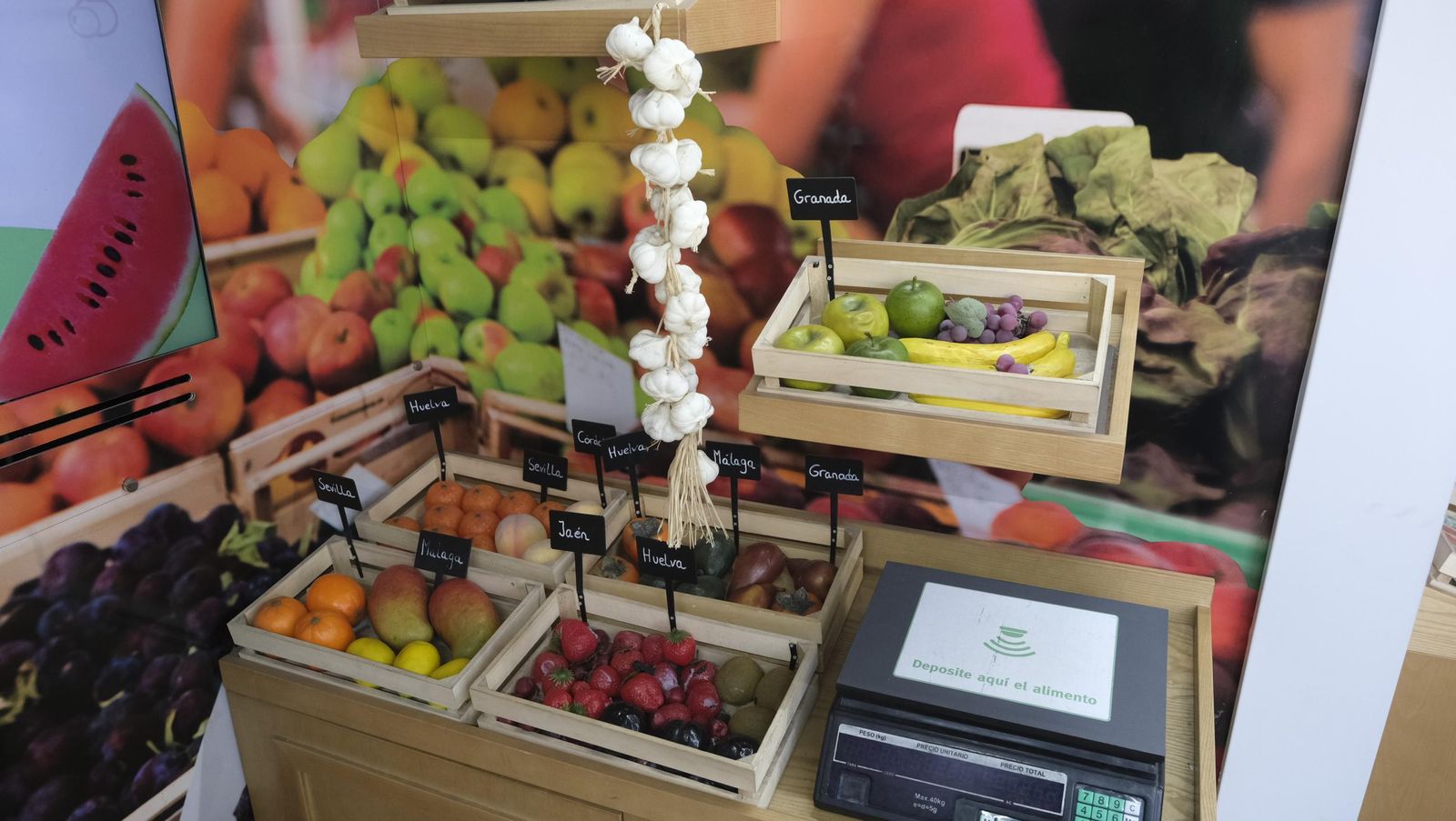 El Fritibús escolar, en imágenes