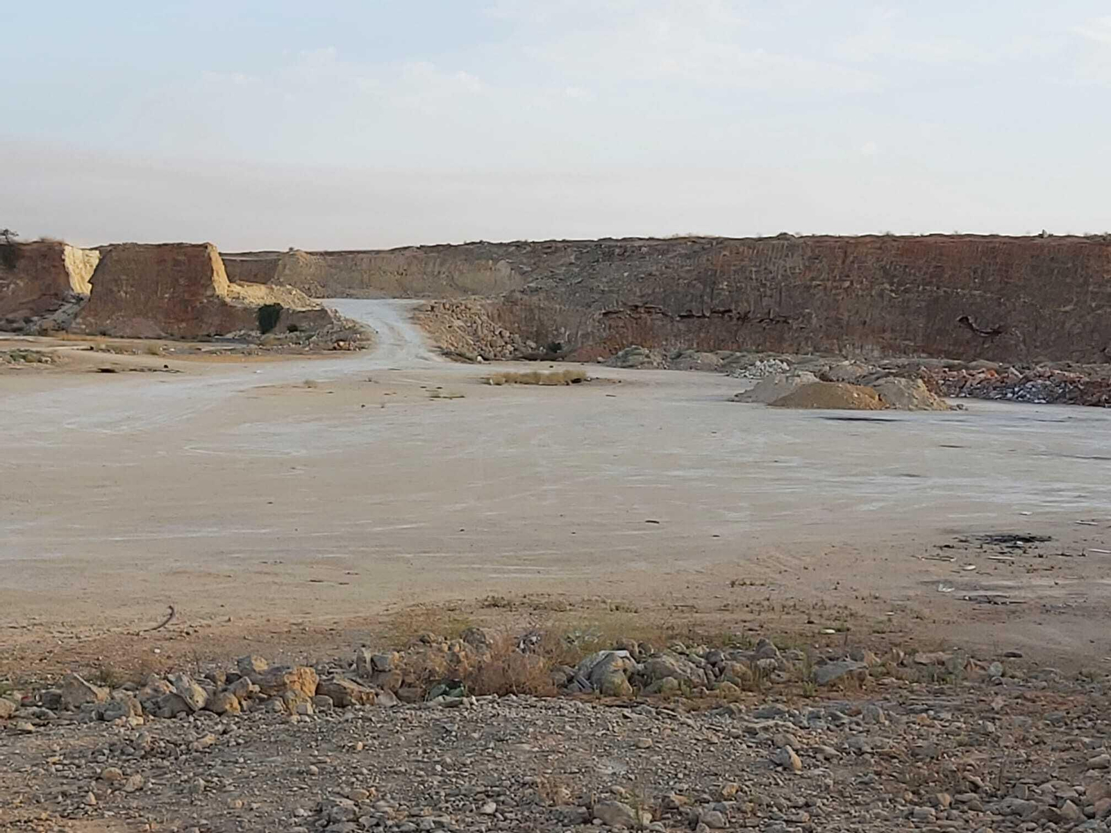 Terrenos vendidos para la ubicación de la planta.