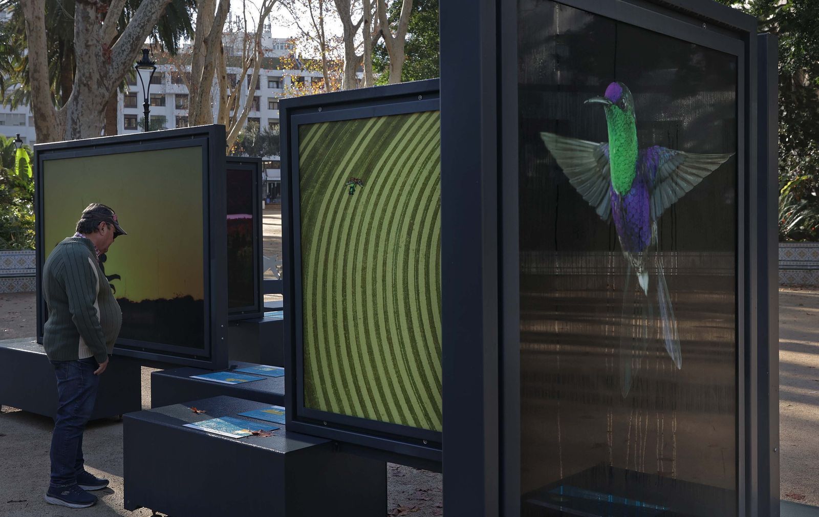 La exposición 'Colores del Mundo' del parque María Cristina de Algeciras, en imágenes