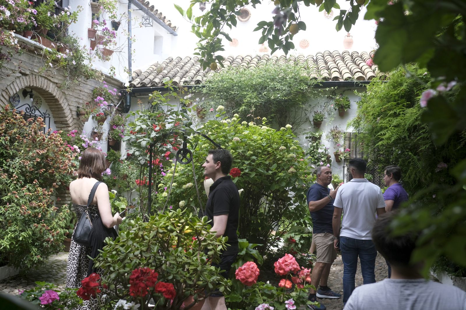 El último día del Festival de los Patios de Córdoba 2022, en imágenes