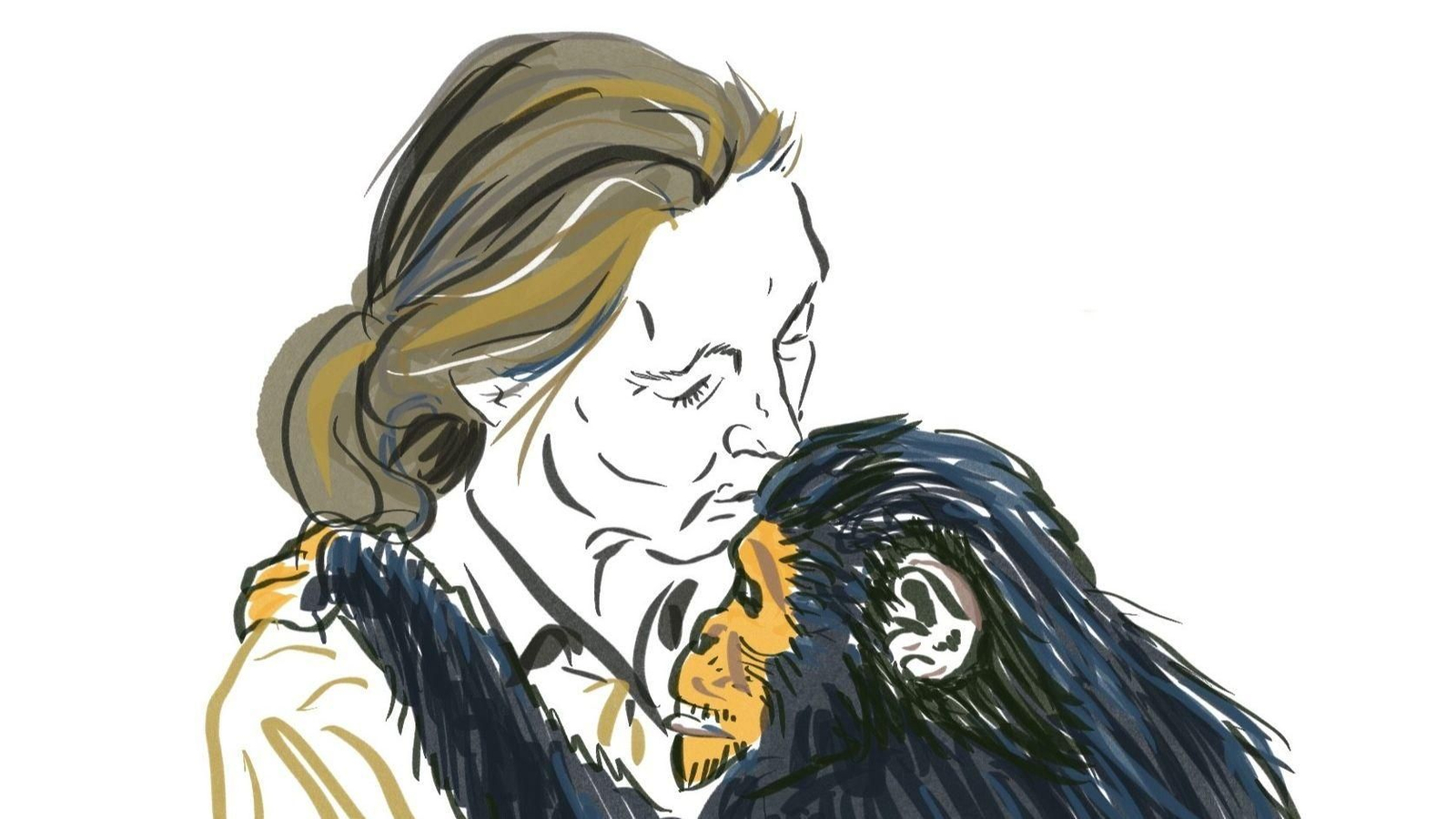 Ilustración Jane Goodall.