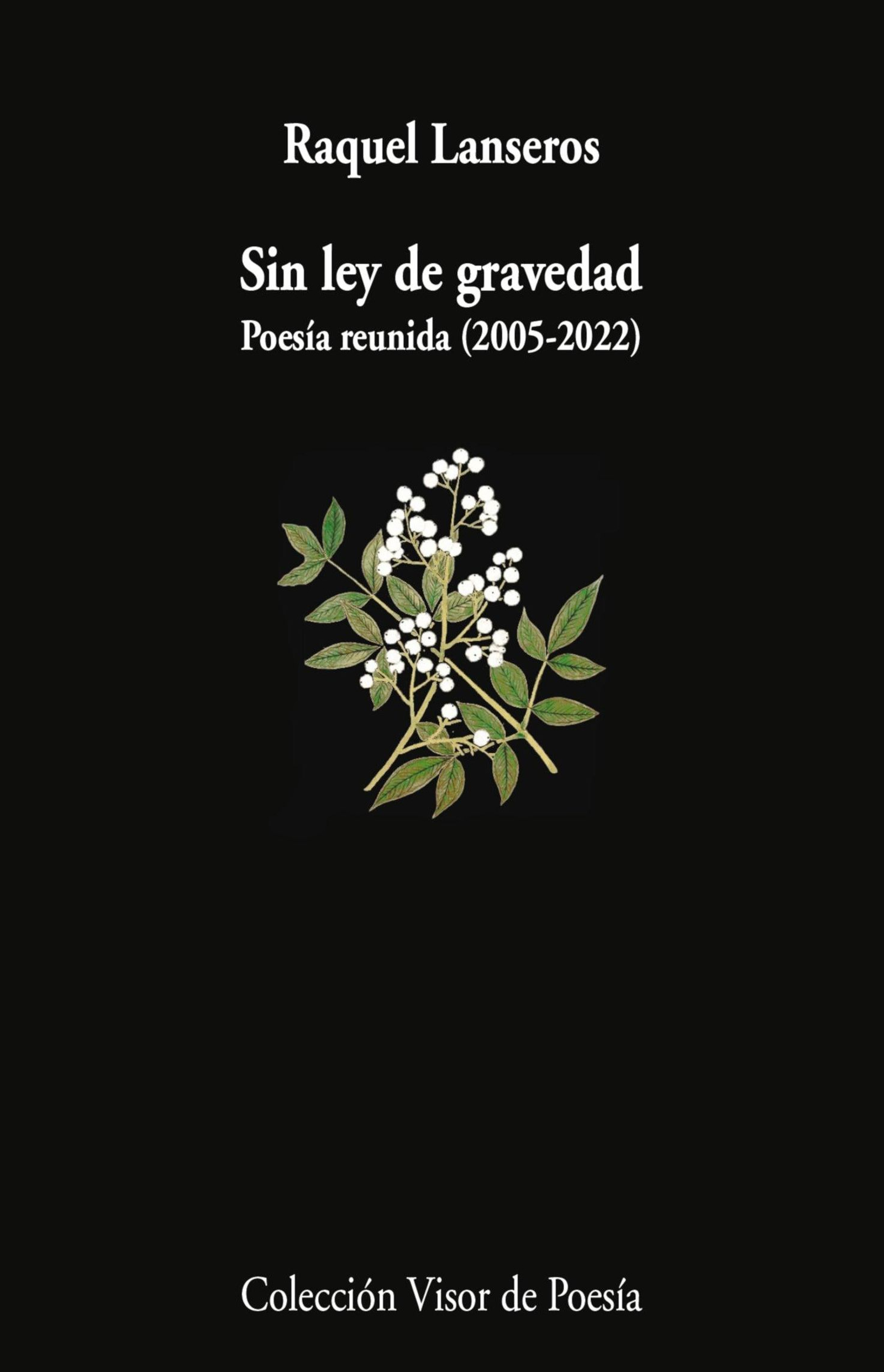 Sin ley de gravedad