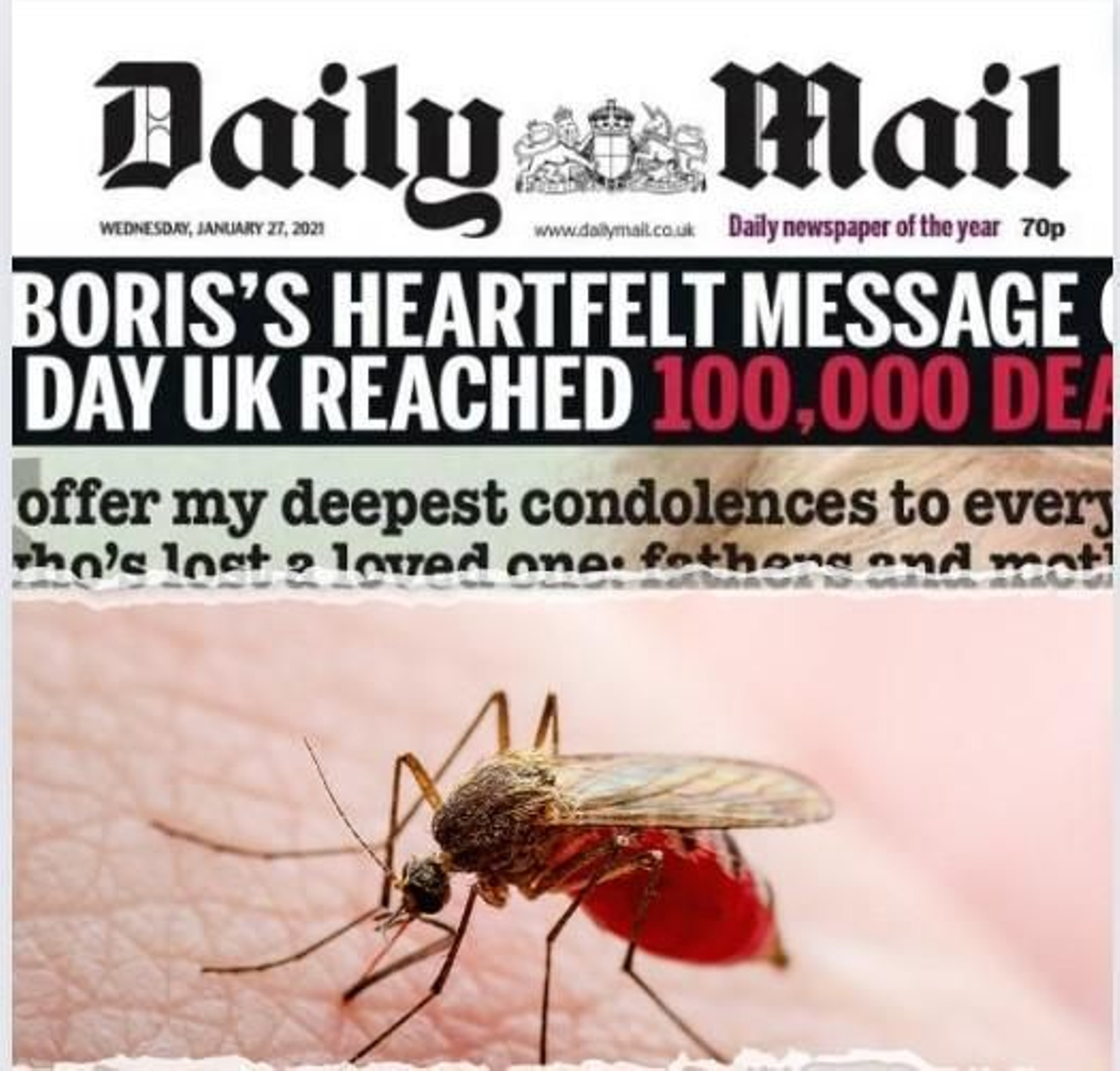 Medios británicos informan del virus del nilo