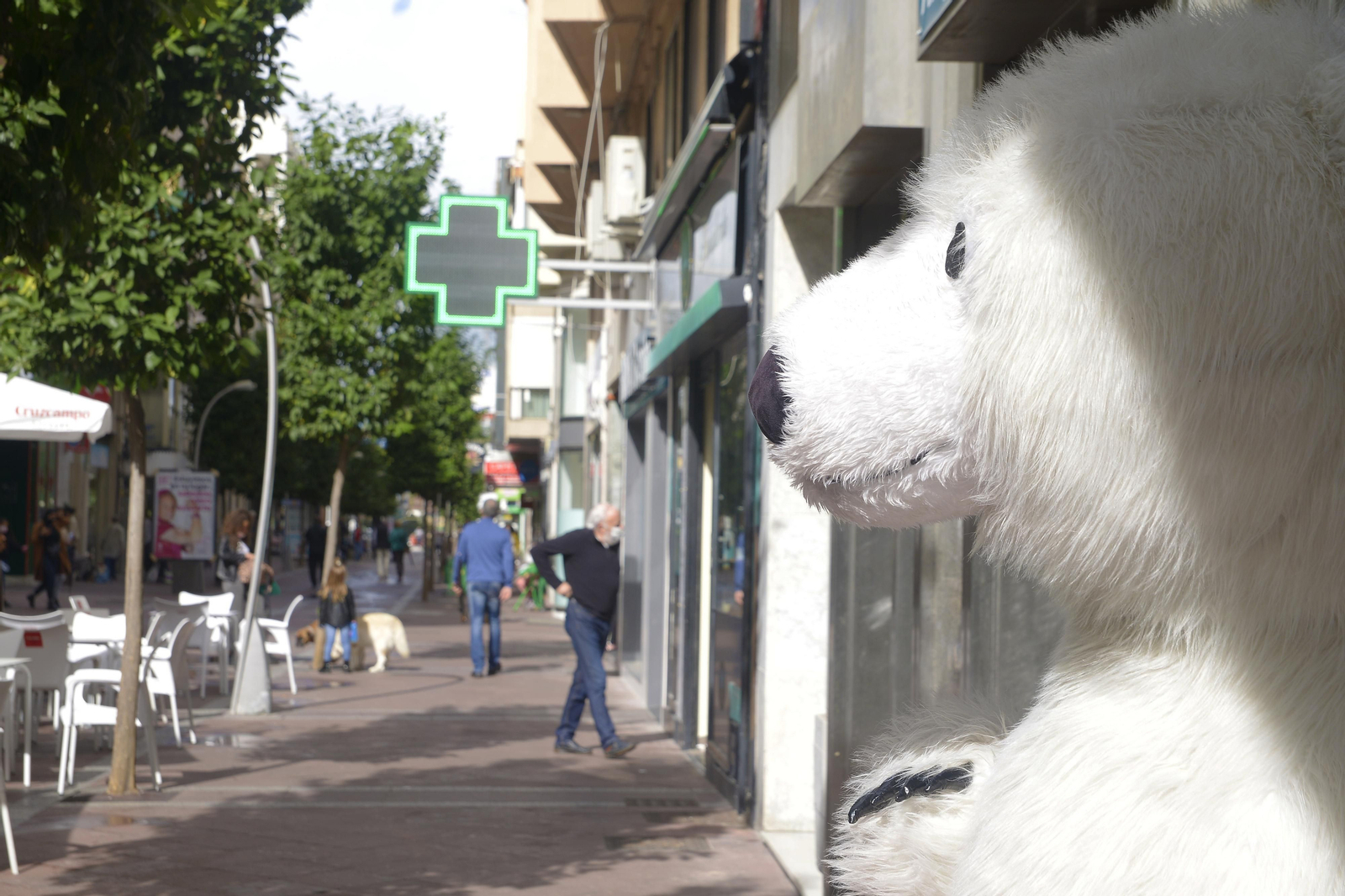 Fotos del centro de Algeciras en el primer fin de semana de Noviembre