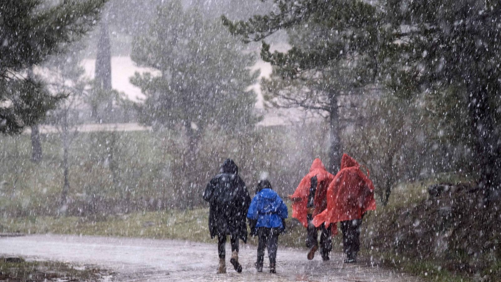 La nieve llegó a los alrededores del refugio de Los Quejigales.