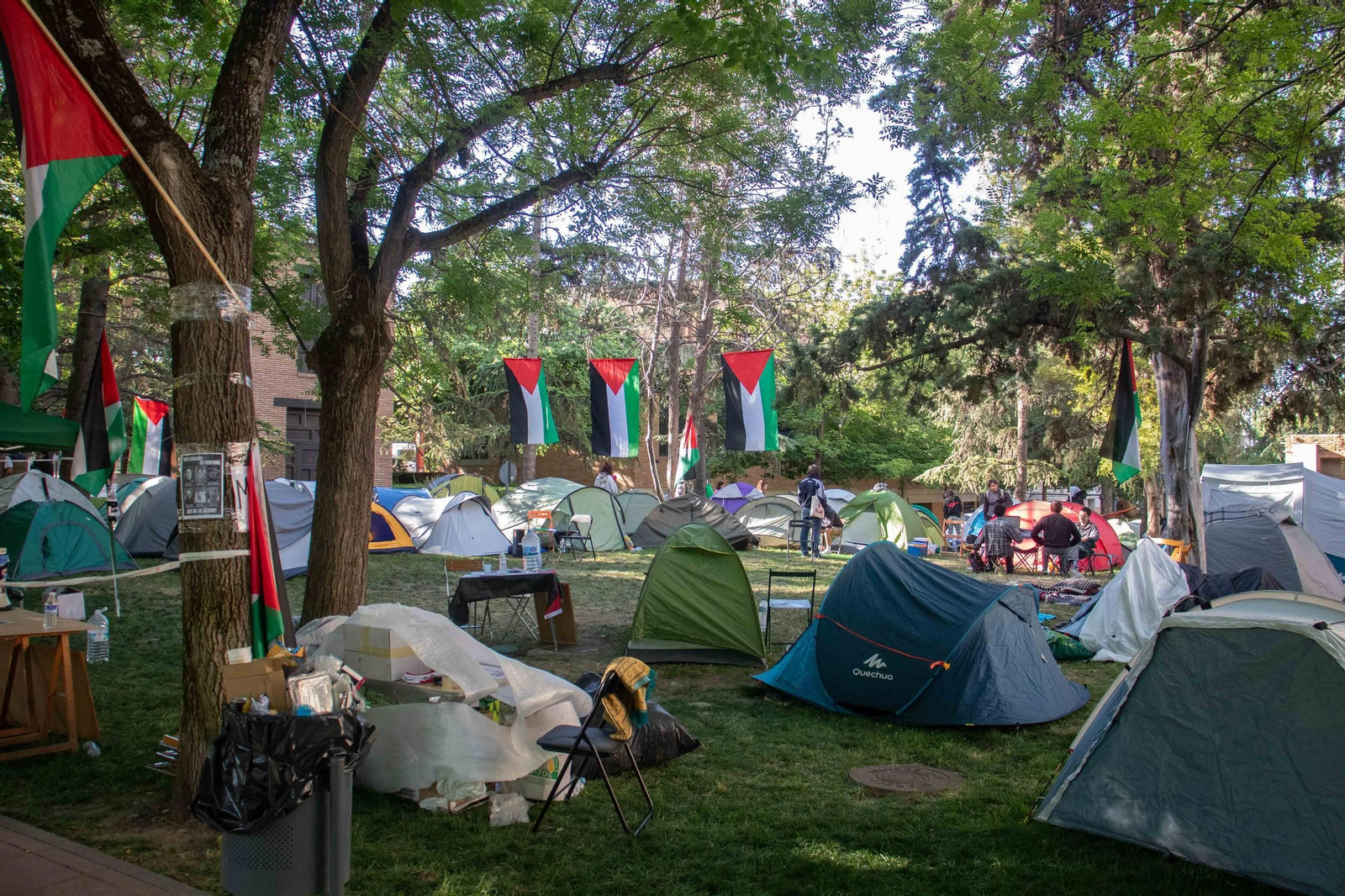 Acampada en Fuentenueva, en 2024, para reclamar a la UGR la ruptura de relaciones con Israel.