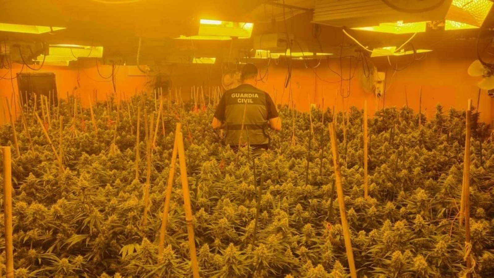 El chalé de lujo de Granada que escondía una gran plantación de marihuana El chalé de lujo de Granada que escondía una gran plantación de marihuana